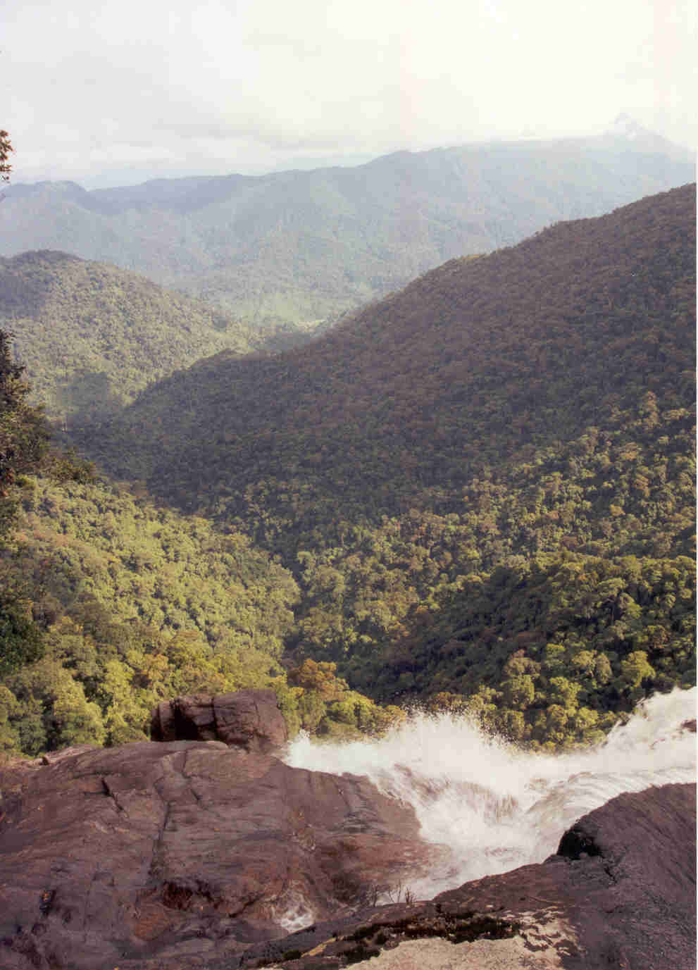 Bach Ma National Park forest scenery in Central Vietnam